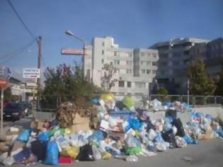 Φωτογραφία για Σε κλοιό σκουπιδιών και δυσοσμίας η πόλη των Τρικάλων