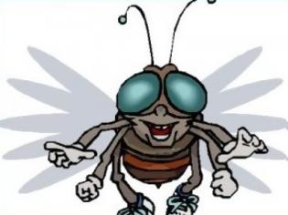 Φωτογραφία για Ανέκδοτο: Πως καταλαßαίνουµε το φύλο µιας μύγας