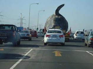 Φωτογραφία για Απίστευτο θέαμα: Μεταφορά νεκρής φάλαινας στους δρόμους της πόλης!