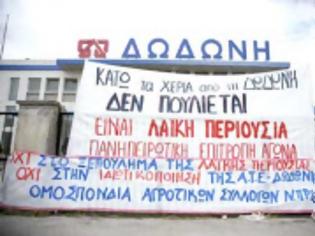 Φωτογραφία για ΔΩΔΩΝΗ ΔΕΝ ΠΩΛΕΙΤΑΙ