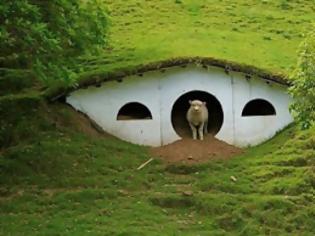 Φωτογραφία για Το xωριό των Hobbit καταλήφθηκε από πρόβατα;