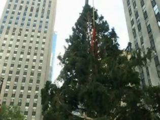 Φωτογραφία για Στήθηκε το χριστουγεννιάτικο δέντρο της Νέας Υόρκης [video]