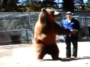Φωτογραφία για Παραλίγο να αποβεί μοιραία η εκπαίδευση αρκούδας [Video]