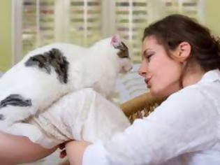 Φωτογραφία για Τοξόπλασμα: Η νόσος που υπάρχει χάρη στις γάτες