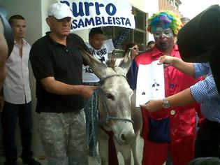 Φωτογραφία για «Έφαγαν πόρτα» από τις Αρχές  Έναν... γάιδαρο θέλουν ως υποψήφιο βουλευτή πολίτες του Ισημερινού