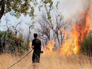 Φωτογραφία για Τρεις φωτιές από τη Δίβρη μέχρι το Σμίλα