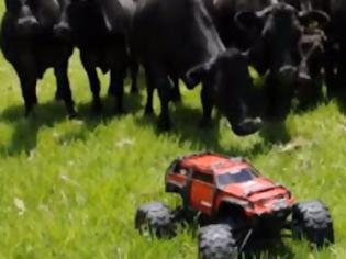 Φωτογραφία για Βενζινοκίνητο εναντίον Αγελάδων (Βίντεο)