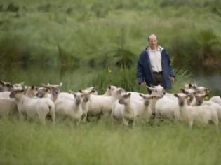 Φωτογραφία για H παραχώρηση γης σε νέους αγρότες προκαλεί πρόβλημα σε κτηνοτρόφους