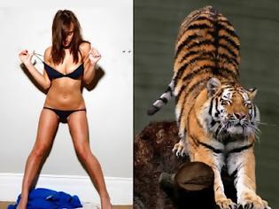 Φωτογραφία για Γρίφος : Την γυναίκα ή την τίγρη ;