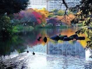 Φωτογραφία για Φανταστικής ομορφιάς κήπος στην Ιαπωνία!
