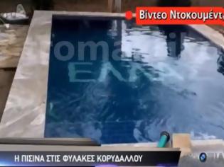 Φωτογραφία για Η πισίνα του Κορυδαλλού σε ένα βίντεο ΝΤΟΚΟΥΜΕΝΤΟ