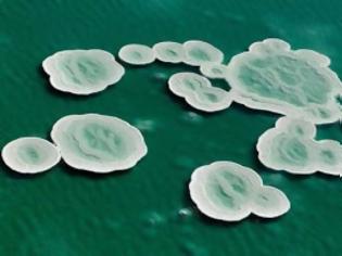 Φωτογραφία για Εντυπωσιακοί σχηματισμοί αλάτων στη Νεκρά Θάλασσα