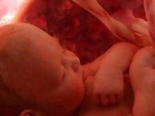 Φωτογραφία για Χιλιάδες κατεψυγμένα έμβρυα στα… αζήτητα