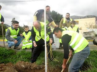 Φωτογραφία για Με επιτυχία η δράση δενδροφύτευσης στην Τύλισο