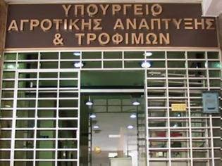 Φωτογραφία για Απεργία στο υπ. Αγροτικής Ανάπτυξης ενάντια στις απολύσεις