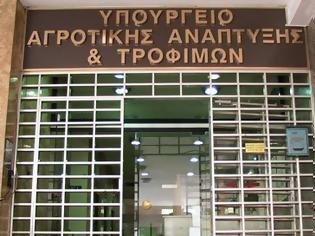 Φωτογραφία για Συνεχίζεται η απεργία στο υπουργείο Αγροτικής Ανάπτυξης