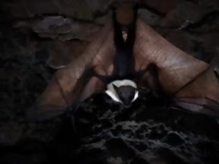 Φωτογραφία για Η τέλεια φωτογραφία [Video]