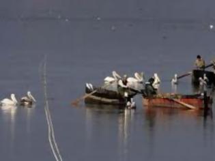 Φωτογραφία για Μεγάλο πρόβλημα με τους Βούλγαρους ερασιτέχνες ψαράδες στην Κερκίνη...