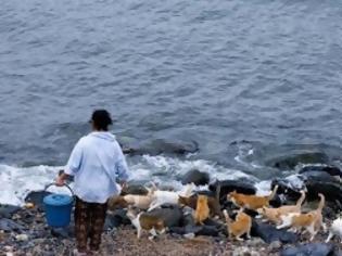 Φωτογραφία για Εσείς ξέρατε το νησί της γάτας