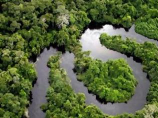 Φωτογραφία για Μειώθηκε η αποψίλωση των δασών του Αμαζονίου