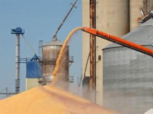 Φωτογραφία για Παραμένει το παγκόσμιο έλλειμμα στην παραγωγή δημητριακών