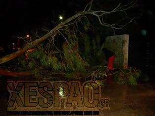 Φωτογραφία για Πάτρα: Θεομηνία χθες στην πόλη - Πλημμύρες και ξεριζωμένα δέντρα - Δείτε βίντεο