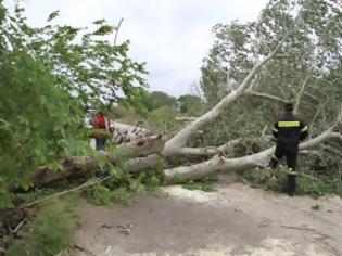 Φωτογραφία για Καταστροφές και συντρίμμια άφησε πίσω της η ”μίνι θύελλα” στις παραλίες της Ξάνθης!