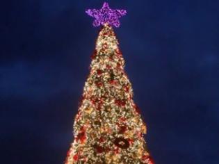 Φωτογραφία για Το ψηλότερο χριστουγεννιάτικο δέντρο στο Ζάππειο!