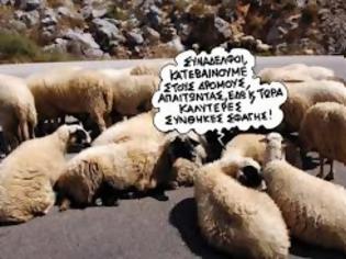 Φωτογραφία για «Τρόικα είναι 4 λύκοι και 1 πρόβατο να ψηφίζουν για φαγητό»