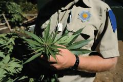 Η πλειοψηφία των Αμερικανών υποστηρίζει τη νομιμοποίηση της μαριχουάνας
