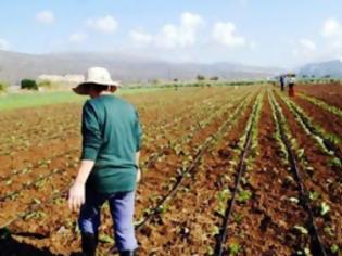 Φωτογραφία για Έλεγχος και στις επιδοτήσεις των αγροτών που έλαβαν επιστροφή ΦΠΑ με πλαστά τιμολόγια