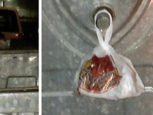 Φωτογραφία για Ψάχνουν τροφή στα σκουπίδια στην Ξάνθη – delivery σε κάδους απορριμμάτων!