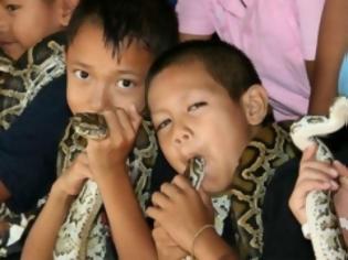 Φωτογραφία για Απίστευτο και όμως αληθινό: Παιδιά βάζουν στο στόμα τους δηλητηριώδεις κόμπρες [video]