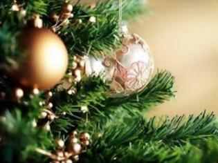 Φωτογραφία για Έως και 2.311% οι αποκλίσεις στις τιμές των χριστουγεννιάτικων δέντρων