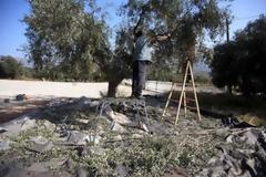Ρέθυμνο: Τραυματίστηκε θανάσιμα ενώ μάζευε τις ελιές του