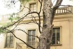 Κλείνει το Ίδρυμα Γιάννη Τσαρούχη χωρίς να σταματά τη δράση του