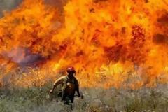 Αγριόχορτο-εμπρηστής προκαλεί μαζικές πυρκαγιές στις ΗΠΑ