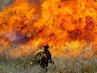 Φωτογραφία για Αγριόχορτο-εμπρηστής προκαλεί μαζικές πυρκαγιές στις ΗΠΑ