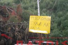 Ηλεία: Η... χειροποίητη διαφήμιση που τα λέει όλα!