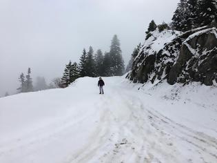 Φωτογραφία για Επιδρομή του χιονιά στα ορεινά των Τρικάλων-Χωρίς προβλήματα η κυκλοφορία