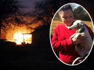 Φωτογραφία για Ανάπηρο σκυλάκι έσωσε μια οικογένεια από τις φλόγες   Read more: http://www.newsbomb.gr/diethnh/story/260380/anapiro-skylaki-esose-mia-oikogeneia-apo-tis-floges#ixzz2EWZWmL4A