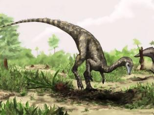 Φωτογραφία για Βρέθηκε ο πιο παλιός δεινόσαυρος που έχει ανακαλυφθεί ποτέ
