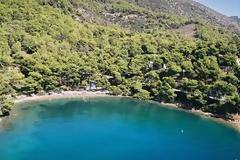 Λεμονοδάσος Πόρου