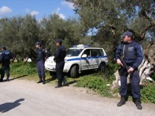 Φωτογραφία για Συνελήφθησαν 4 άτομα στη Μεσσαρά για οπλοκατοχή, κλοπή αυτοκινήτου και ζωοκλοπή