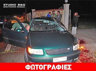 Φωτογραφία για Άργος: Μοιραία σύγκρουση οχήματος με άλογο