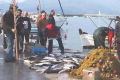 ΗΡΑΚΛΕΙΟ: Ιχθυοπώλης μοίρασε 1 τόνο ψάρια σε άπορους