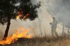 Μεγάλη πυρκαγιά στο Πήλιο