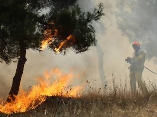 Φωτογραφία για Μεγάλη πυρκαγιά στο Πήλιο