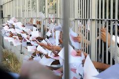 Πάντα πριν τις εκλογές όλοι κόπτονται για τους λαθρομετανάστες!