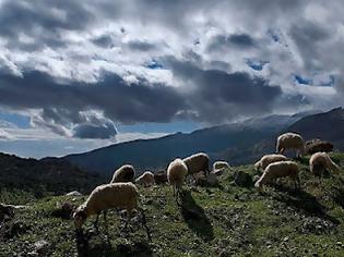 Φωτογραφία για ΑΛΒΑΝΟΣ ΧΤΥΠΗΣΕ ΜΕΧΡΙ ΑΙΜΑΤΟΣ ΜΠΑΓΚΛΑΝΤΕΣΙΑΝΟ ΓΙΑ ΝΑ ΤΟΝ ΔΙΩΞΕΙ ΑΠΟ ΤΗ ΔΟΥΛΕΙΑ!